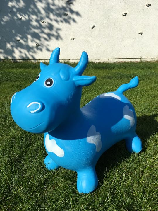 Immagine prodotto Happy Hopperz Toro Big Face