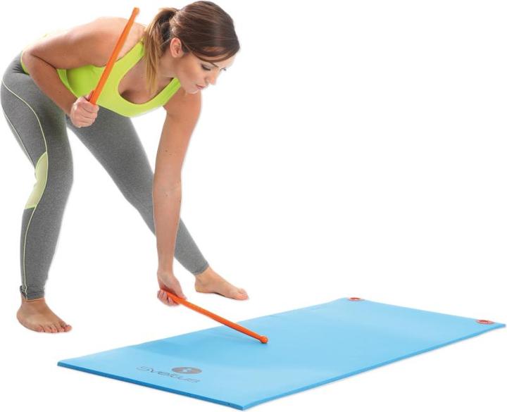 Image du produit Sveltus ® Fit Sticks