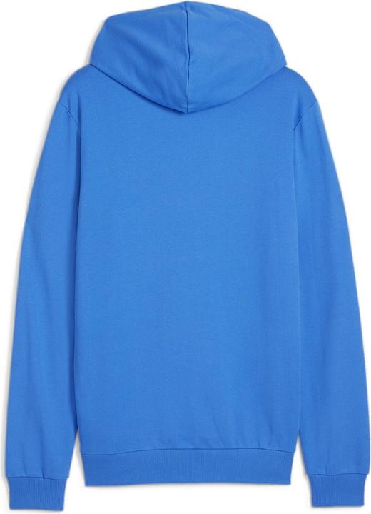 Actual product image Puma teamGOAL Casuals Hoody (L)