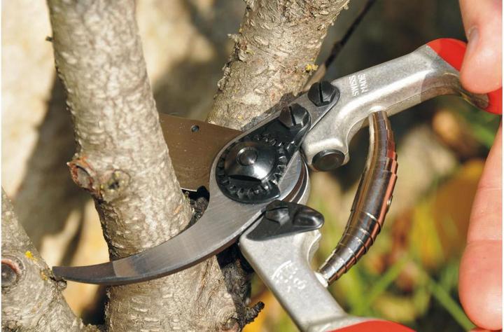 Produktbild Felco Gartenschere 13
