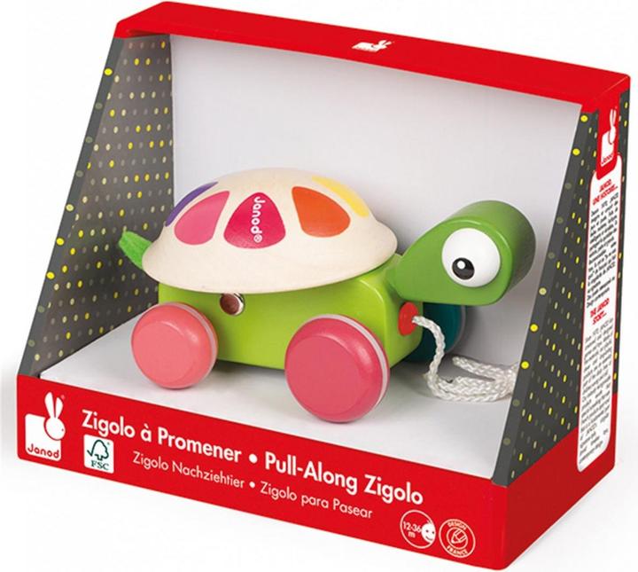 Actual product image Janod Zigolo turtle