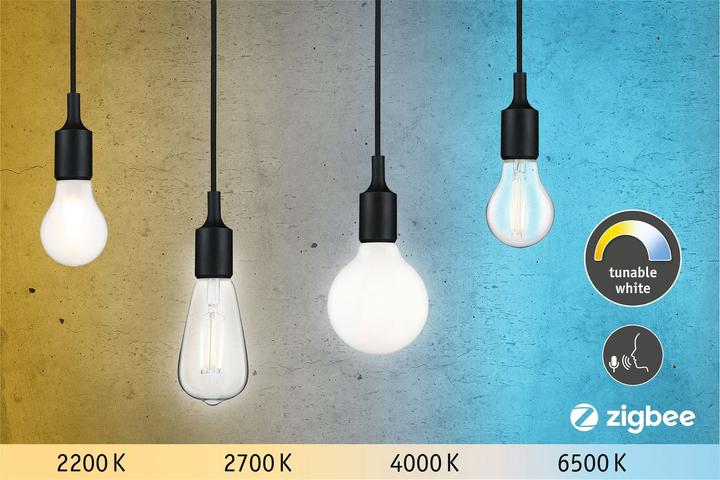 Actual product image Paulmann General Purpose Lamp Zigbee (E27, 4.70 W, 470 lm, 1 x, F)