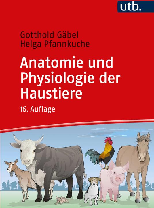 Actual product image Anatomie und Physiologie der Haustiere (German, Gotthold Gäbel, Helga Pfannkuche, 2024)