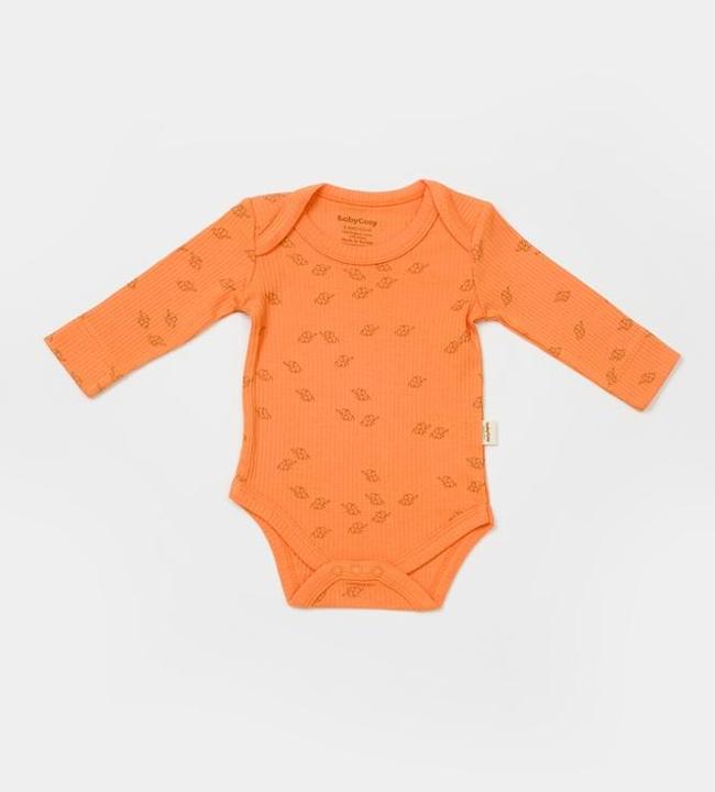 Immagine prodotto BabyCosy 2 pezzi Corpo a maniche lunghe (62)