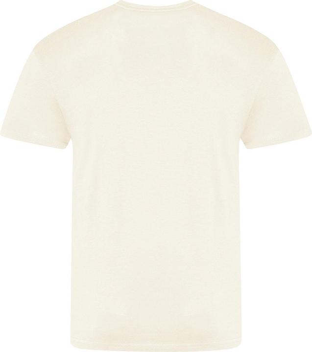Image du produit Awdis The 100 TShirt (3XL)