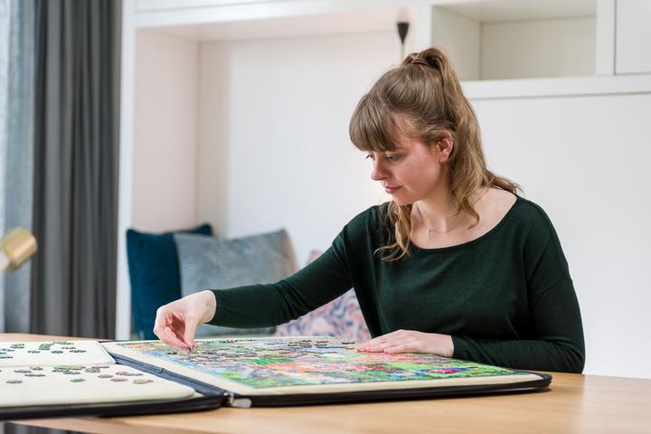 Image du produit Jumbo Portapuzzle Deluxe (1000 pièces)