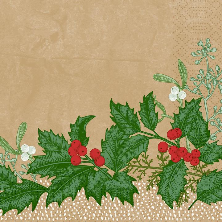 Snowy Berries