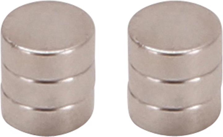 Actual product image BGS Magnet set (6 x)