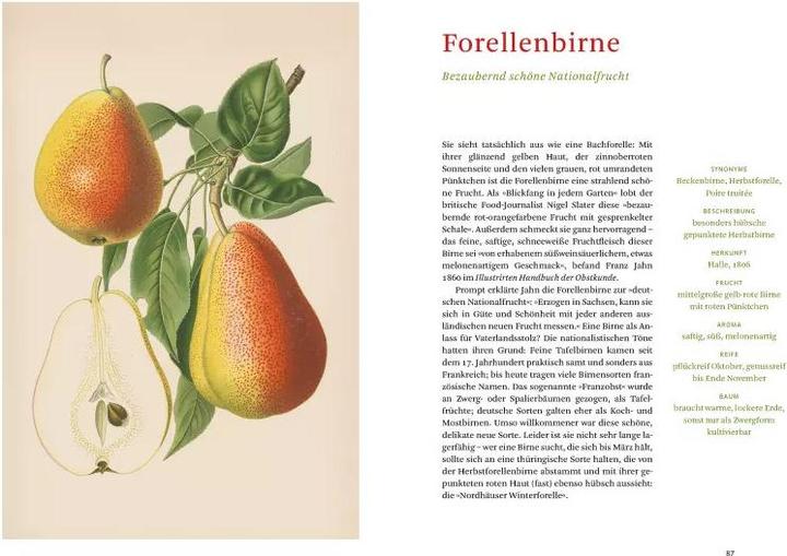 Produktbild Die alten Obstsorten (Deutsch, Sofia Blind, Staatsbibliothek zu Berlin, 2020)