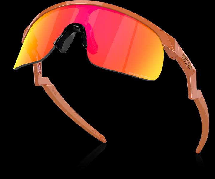 Produktbild Oakley Resistor (Matte Ginger, prizm ruby)