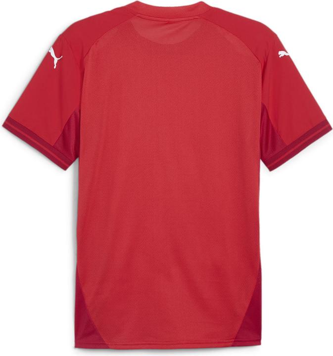 Immagine prodotto Puma squadraMaglia finale (M)