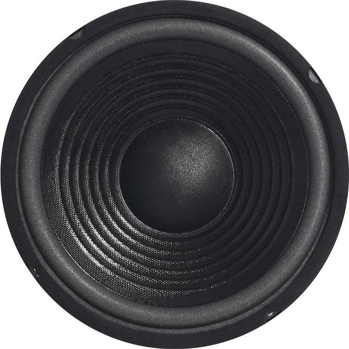 Image du produit Sintron Caisson de basses MHB 250 mm 8 ohms MHB 10 (1 pièce)