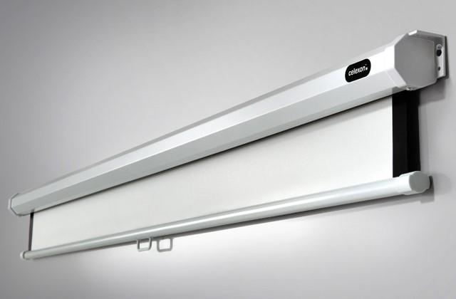 Actual product image Celexon Rollo Economy (122.44", 1:1)