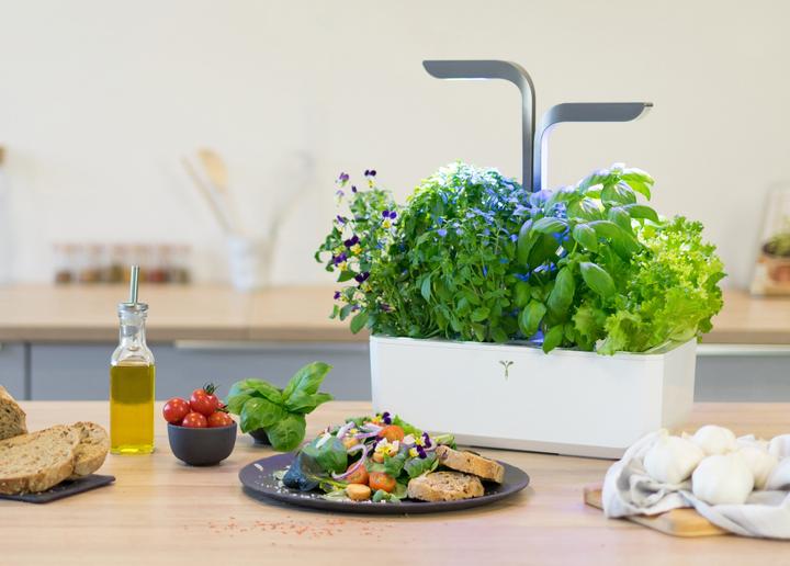 Produktbild Véritable Connect Indoor Garden (18 cm)
