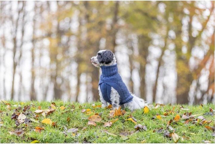 Produktbild Trixie Pullover Norwood XXS, 21 cm, Dunkelblau (Hundepullover)