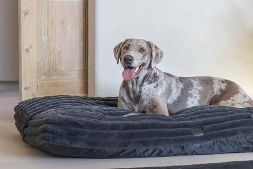 Productafbeelding Designed by Lotte Reza ligkussen (Hond)
