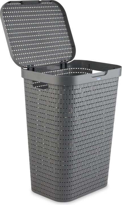 Image du produit Rotho Pays (55 l)