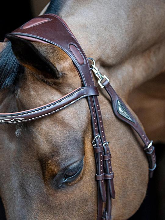 Produktbild Equiline anatomisch geformtes, breites, zweigeteiltes genickstück zum reiten