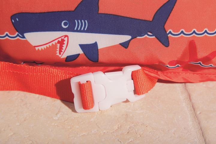 Actual product image Bestway 32174 (18-30 kg)