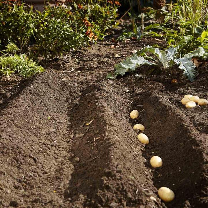 Image du produit Gardena Gardino