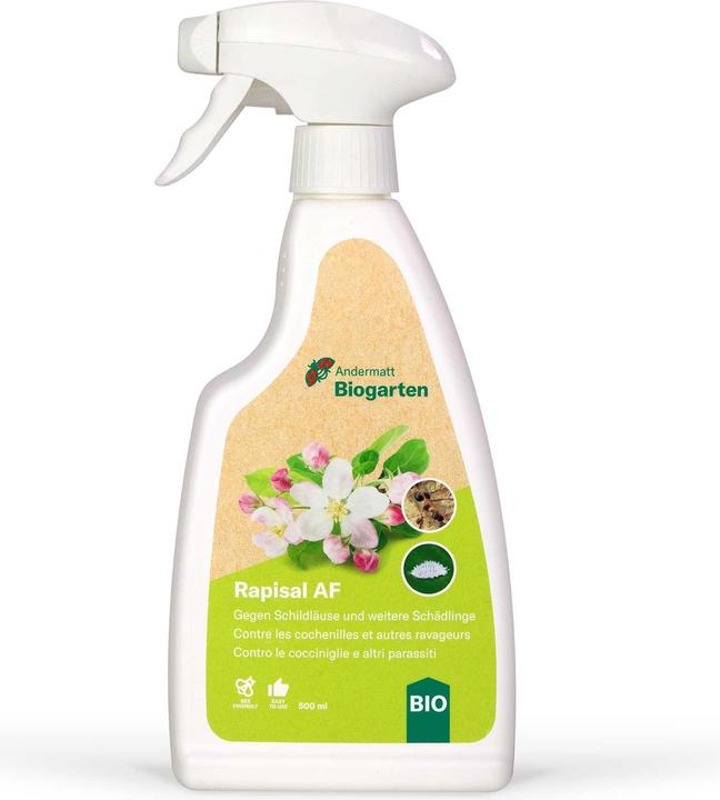 Andermatt Biogarten Rapisal AF (Schildläuse, Birnblattsauger, Spinnmilben, Buchsbaumblattfloh, Thripse, Zykaden, Weissen Fliegen)