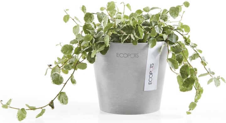 Image du produit Ecopots Amsterdam Mini (10.50 cm)