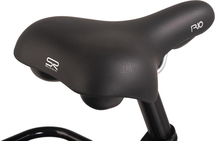 Immagine prodotto Hollandia Bicicletta e-city da donna 28" Optima Basic Brown 7 marce (50 cm)