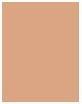 Produktbild Estée Lauder Double Wear Sheer (Nr. 3N2 - Wheat)
