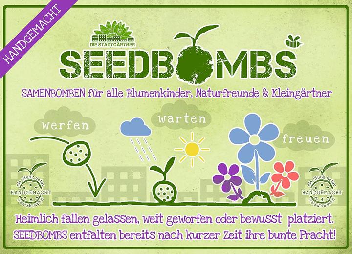 Produktbild Die Stadtgärtner Samenbomben Sonnenblume (Samenbomben)