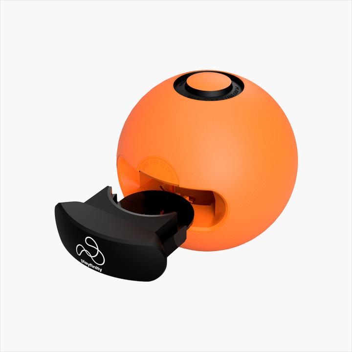 Immagine prodotto Playfinity Palla veloce