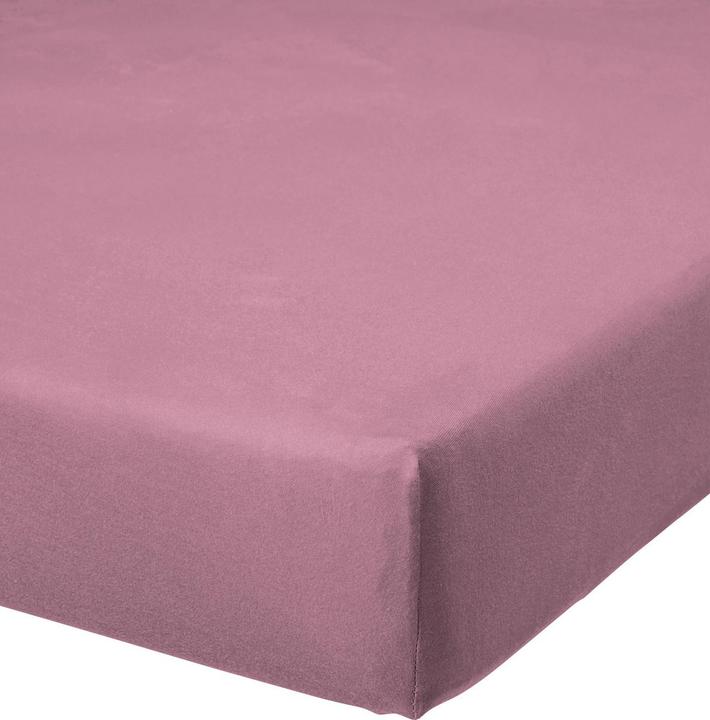 Actual product image Buona Notte Jersey Spandex Fitted Sheet (90-100 x 200-220 cm)