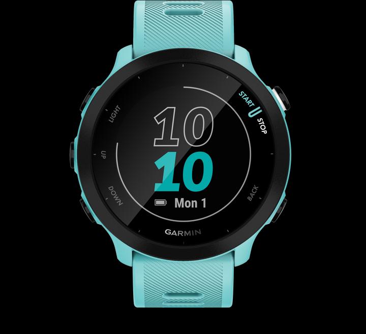 Image du produit Garmin Forerunner 55 (42 mm)