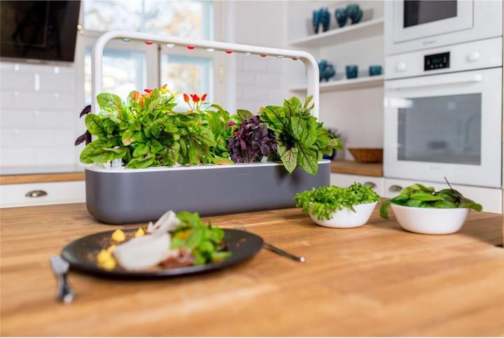 Produktbild Click and Grow Smart Garden 9 (62.50 cm)