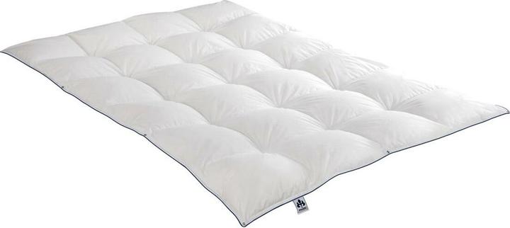 Produktbild Irisette Daunendecke Laura warm, Füllung: 100% Gänsedaunen (820 g, 135x200 cm)