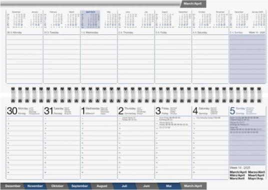 Immagine prodotto Simplex Planner settimanale Scadenzario AC (307 x 105 mm, Tedesco, Inglese, Italiano, Francese)