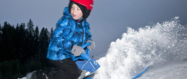 Actual product image hamax Sno Blade