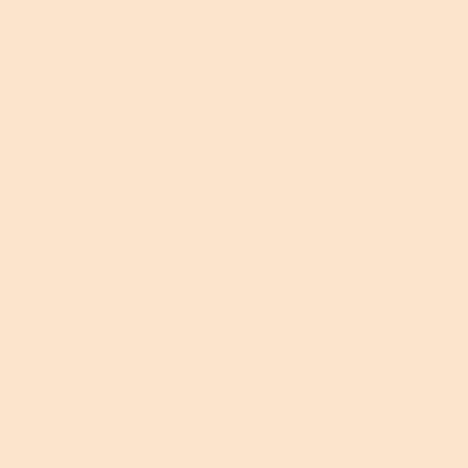 Actual product image MAC Cosmetics Studio Fix 24-Hour Smooth Wear Concealer (No. NC10)