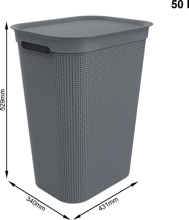 Image du produit Rotho Brisen (50 l)