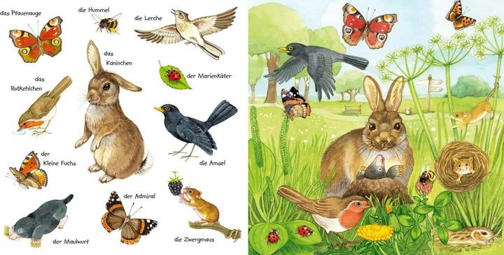 Produktbild Mein kleines buntes Bildwörterbuch: Tiere im Park und im Garten (Deutsch, Christine Henkel, 2024)