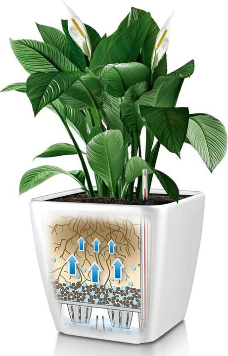 Produktbild Lechuza Quadro LS (28 cm)