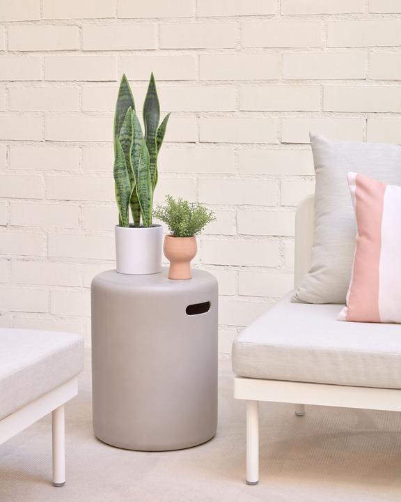 Produktbild Kave Home Sansevieria (55 cm)