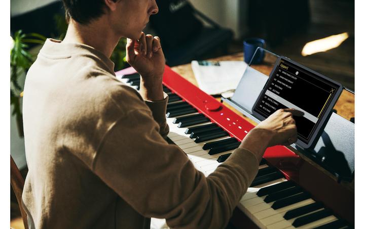 Immagine prodotto Casio Privia PX-S1100RD (88 Chiavi)