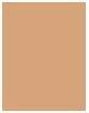Image du produit Bourjois Always Fabulous 24H (410 Beige doré)