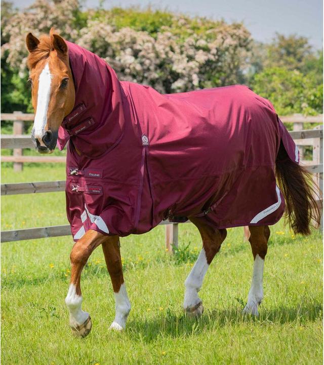 Produktbild Premier Equine Buster Storm Classic 90 g (213 cm)