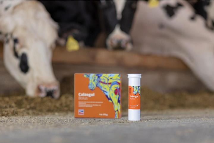 Image du produit Magni Kerbl Calzogol Bolus, Bolus de calcium 4 bolus/paquet