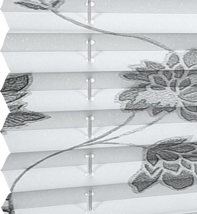 Immagine prodotto Gardinia Cieco plissettato Concetto per il bloccaggio di fiori e piante in fiore (70 x 130 cm)