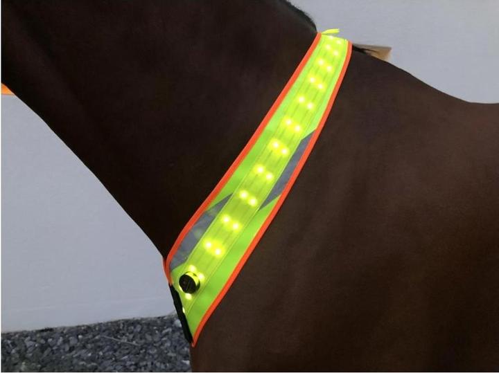 Animal Light LED Leuchthalsriemen 20