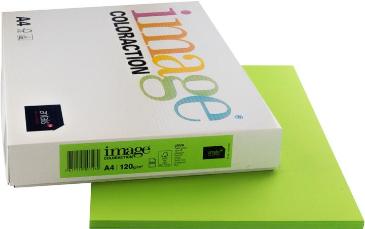 Actual product image Image Copy paper Java A4 (120 g/m², 250 x, A4)