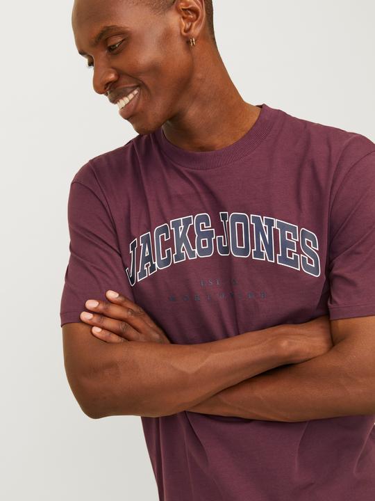 Immagine prodotto Jack & Jones Jjecaleb Varsity Tee Ss O-Neck Noos (M)