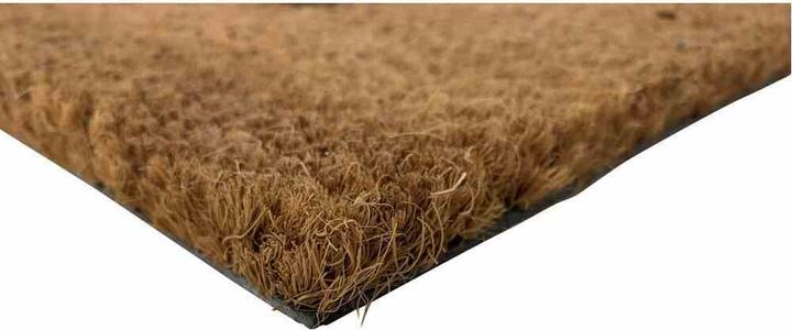 Immagine prodotto Siena Home Zerbino (40 x 60 cm)